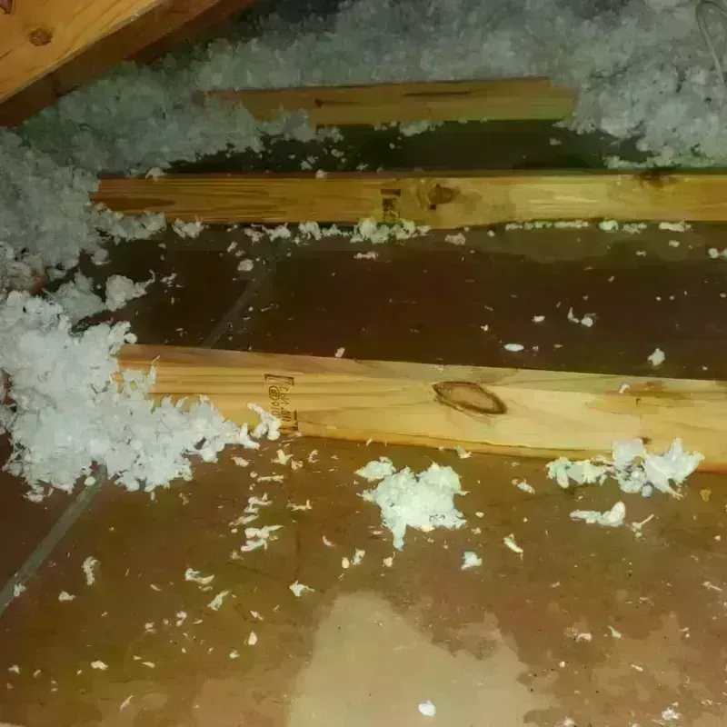 Attic Water Damage in Fortuna, CA