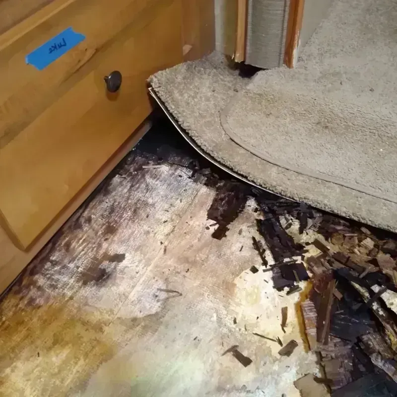 Wood Floor Water Damage in Fortuna, CA